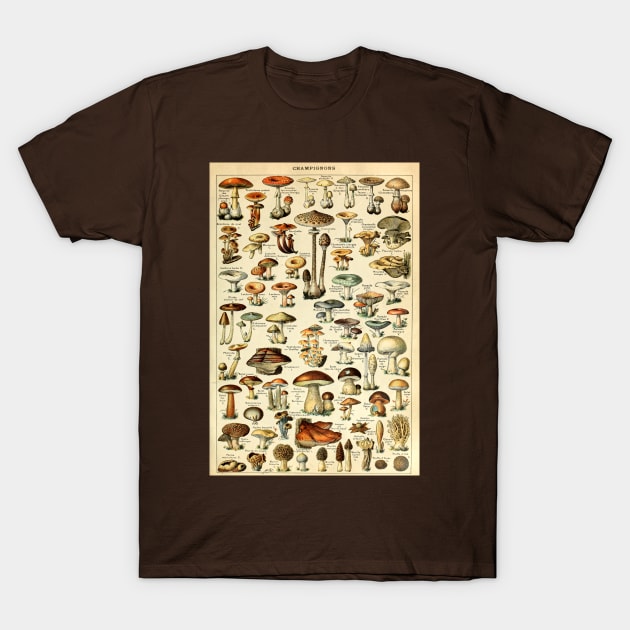 Champignons Mushrooms Vintage Botanical Illustration T-Shirt by darklordpug